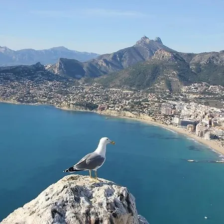 Calalga - Plusholidays Calpe