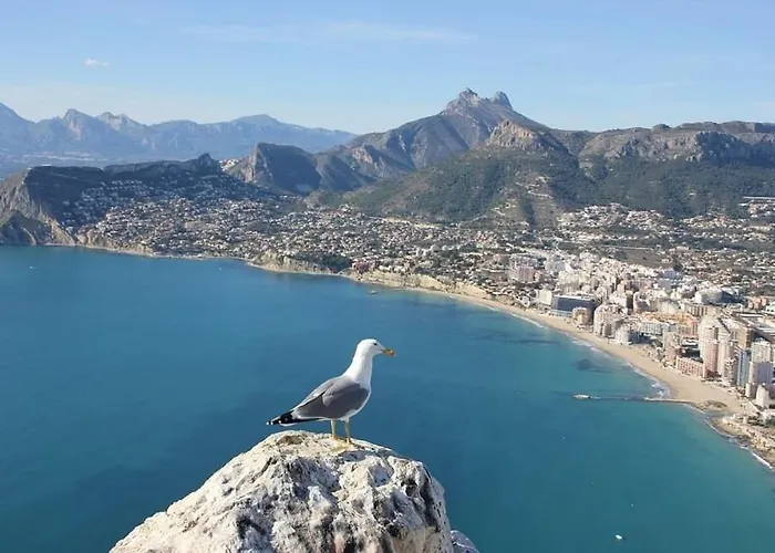 Calalga - Plusholidays Ifach